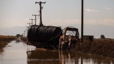Πόσες εκτάσεις νωπών φρούτων και λαχανικών καλλιεργούνται στην Θεσσαλία - Το μέγεθος του πλήγματος από τις πλημμύρες
