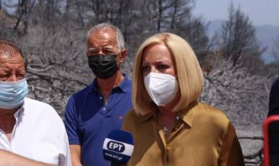 Γεννηματά από την Ηλεία: Με τέτοια καταστροφή κανένας στην κυβέρνηση δεν έχει πολιτική ευθιξία;