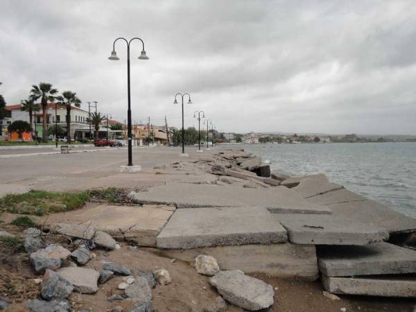 Περιβαλλοντική μελέτη για  την προβλήτα Πεταλιδίου