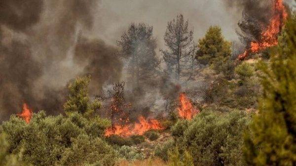 Μεσσηνία: 44χρονος αθωώθηκε για εμπρησμό μετά από 3 χρόνια!