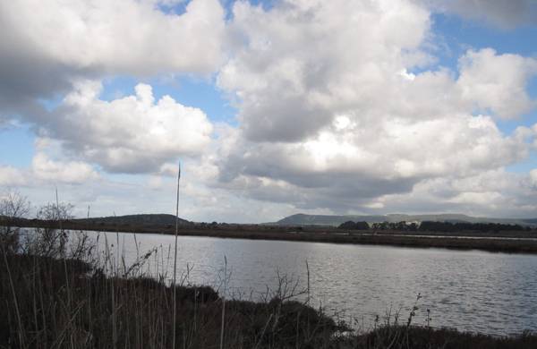 Διδακτική επίσκεψη στη Λιμνοθάλασσα της Γιάλοβας