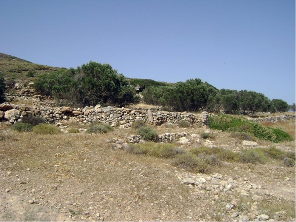 Βρέθηκε νεκρός ο 82χρονος αγνοούμενος από το Σπιτάλι