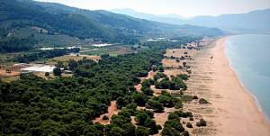 Αναστέλλεται στην Ελαία η έκδοση οικοδομικών αδειών