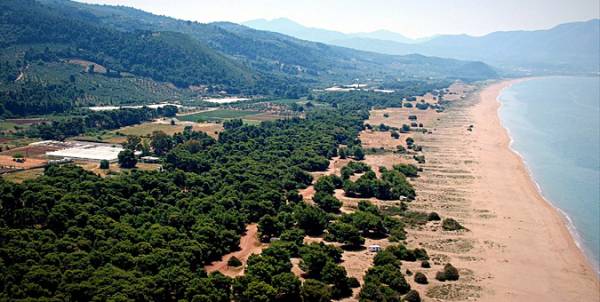 Αναστέλλεται στην Ελαία η έκδοση οικοδομικών αδειών