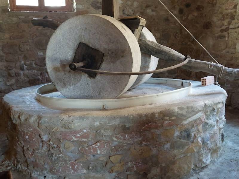 Δράση για την ελιά στο Χαρακοπιό