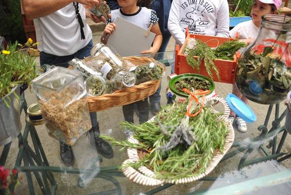 Φυσικό αφρόλουτρο στο Αγρόκτημα Φοίφα