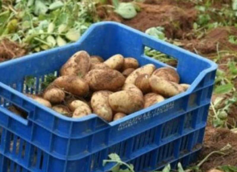 Κατά 13,2% αυξήθηκαν οι εισαγωγές φρούτων και λαχανικών το πρώτο οκτάμηνο του 2023