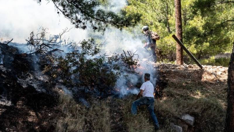 Φωτιά στη Χίο: Εξετάζεται σοβαρότατα το ενδεχόμενο οργανωμένης εγκληματικής ενέργειας (βίντεο)
