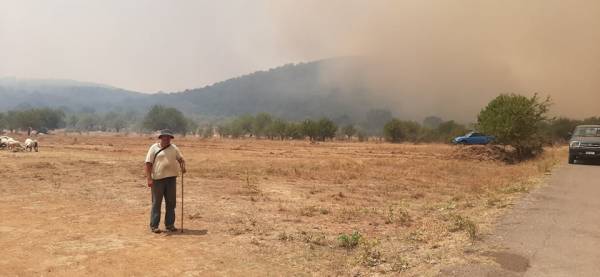Αρκαδία: Μαίνεται η πυρκαγιά στους Χράνους Μεγαλόπολης - Εκκενώνονται οικισμοί (βίντεο-φωτογραφίες)