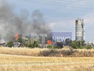 Σέρρες: Φωτιά σε εργοστάσιο ξυλείας στο Νέο Σούλι
