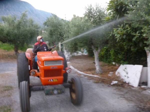 Το πρόγραμμα δακοκτονίας στη Μεσσηνία (1/11)