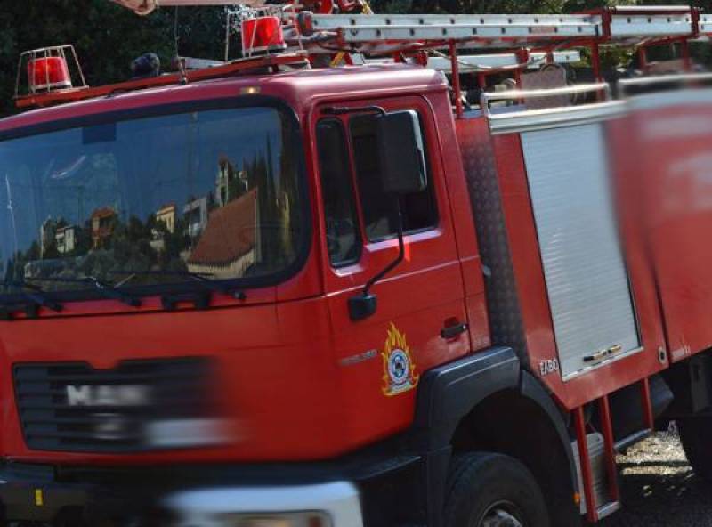 Κινητοποίηση για πυρκαγιά στο Δάσος της Βασιλικής