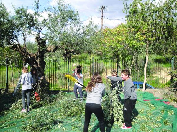 Δραστηριότητες στο 17ο Δημοτικό Καλαμάτας