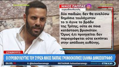 Η ανάρτηση του Ν. Παππά για την επίθεσή του σε δημοσιογράφο (Βίντεο)