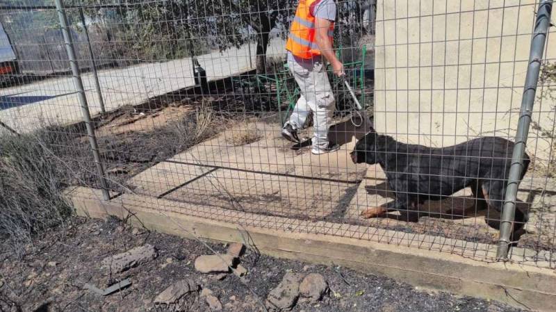 Φωτιά στην Πεντέλη: Οι προσπάθειες εθελοντών για τη διάσωση ζώων