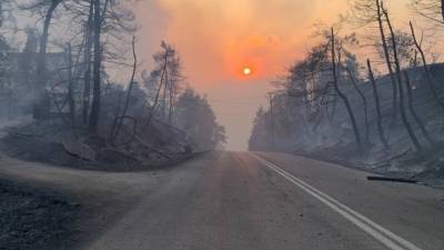 Β. Εύβοια: Ενίσχυση στους δασικούς συνεταιρισμούς στα Κέντρα Περίθαλψης Ειδών Άγριας Πανίδας