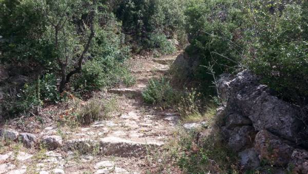 Οι "Φίλοι της Βέργας" για τα μνημεία