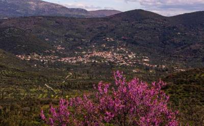 «Πάμε βόλτα» στο Ψάρι