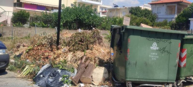 Βουνό από κλαδιά και χόρτα