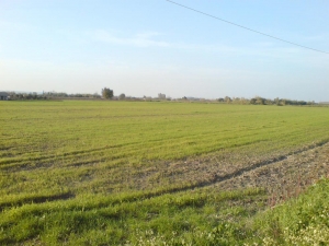 Φορολόγηση και των αγροτεμαχίων - Αντικειμενικές αξίες για ακίνητα σε όλη τη χώρα