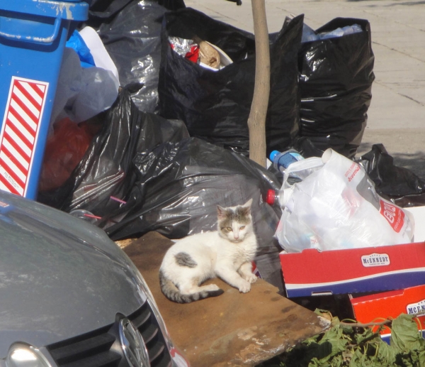 Τα σκουπίδια είναι χρήσιμα...