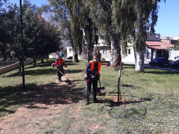 Μόλις στο 5,5% το πράσινο της Καλαμάτας (βίντεο)