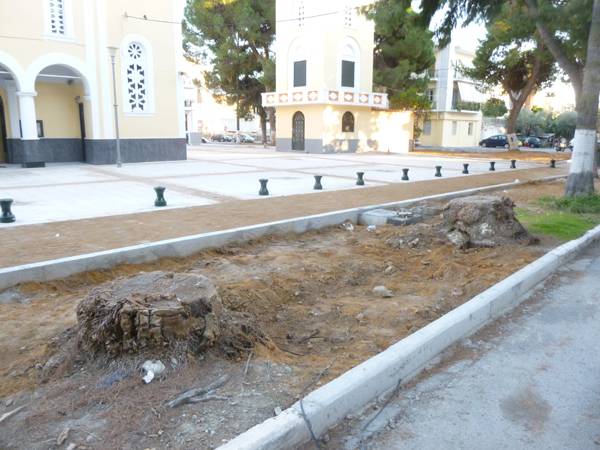 Εξαφανίστηκαν τα πεύκα