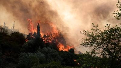 ΕΕ: Οι πυρκαγιές έκαψαν περισσότερα από 10 εκατ. στρέμματα από τις αρχές του 2025 - Χρονιά ρεκόρ