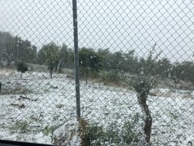 Συνεδρίασε το Συντονιστικό της ΠΕ Μεσσηνίας: Επιφυλακή για παγετό και χιονοπτώσεις