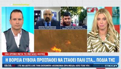 Βόρεια Εύβοια: Έναν χρόνο μετά τις μεγάλες πυρκαγιές προσπαθεί να σταθεί ξανά στα «πόδια» της (Βίντεο)