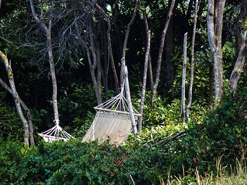 Αστρολογία – 29/08/2023