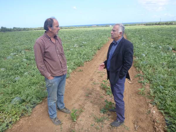 Εξυγίανση της αγοράς καρπουζιού ζητεί ο Αλευράς