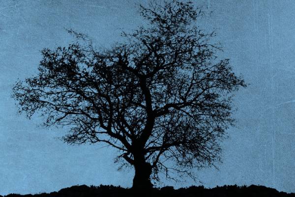 “Θουκυδίδης δραματικός: το θέατρο του πολέμου 2” στην Αρχαία Μεσσήνη