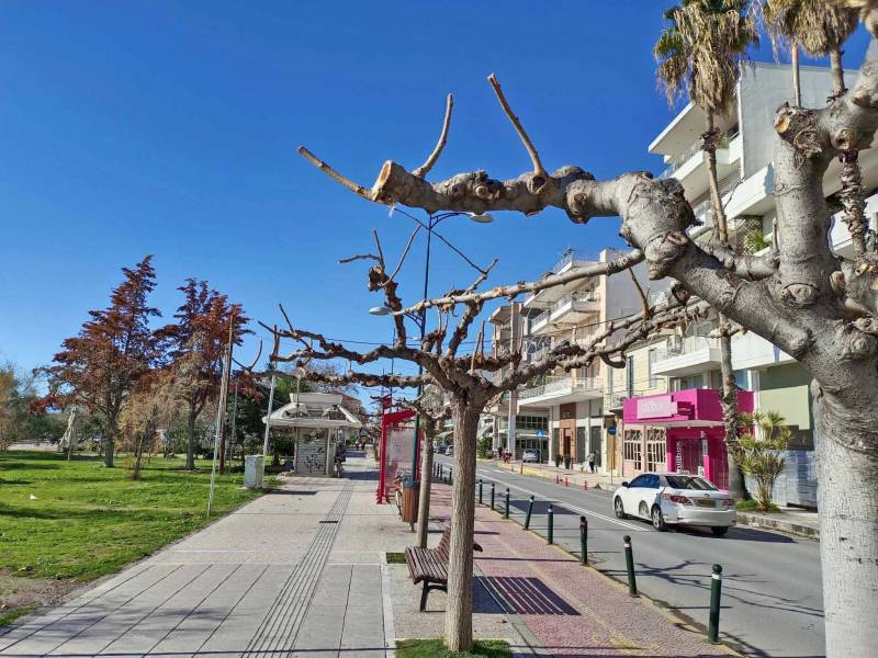Χωρίς στολισμό
