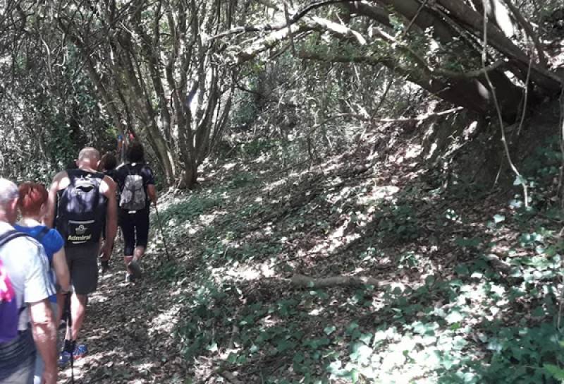 Πρόταση για τα μονοπάτια του Δήμου Οιχαλίας