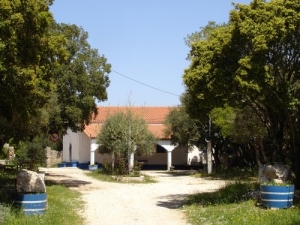 Λαϊκό πανηγύρι σήμερα στη Βάλτα