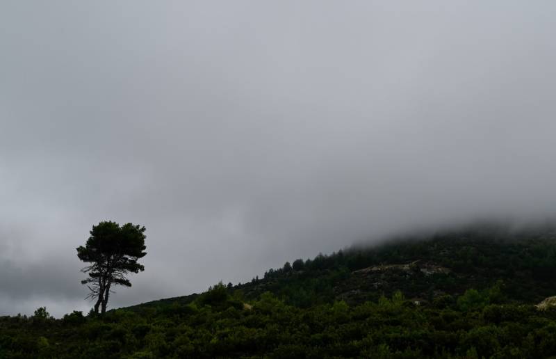 Black Friday: Συμβουλές από τον Συνήγορο του Καταναλωτή