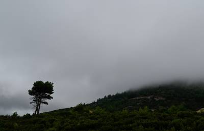 Black Friday: Συμβουλές από τον Συνήγορο του Καταναλωτή