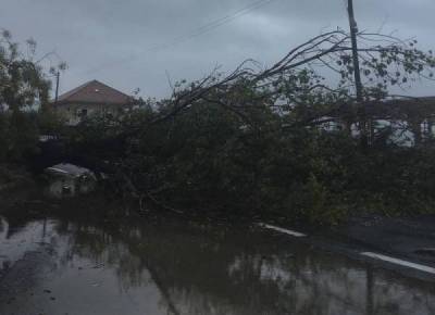 Εργο αποκατάστασης ζημιών στο Δήμο Πύλου Νέστορος