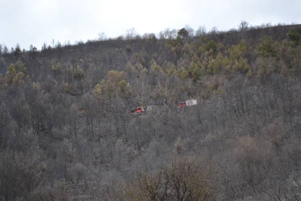 Φωτιές στην Τριφυλία