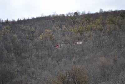 Φωτιές στην Τριφυλία