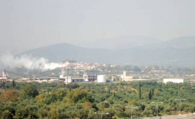 Οταν στις ΒΙΠΕ βόσκουν πρόβατα