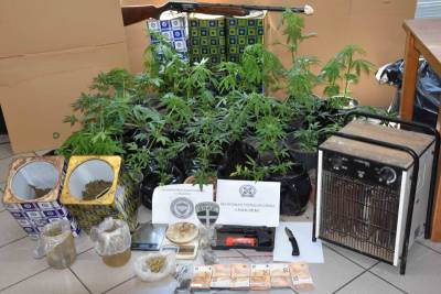 Χαλαζόνι Τριφυλίας: Πατέρας και γιος καλλιεργούσαν χασίς σε θερμοκήπια