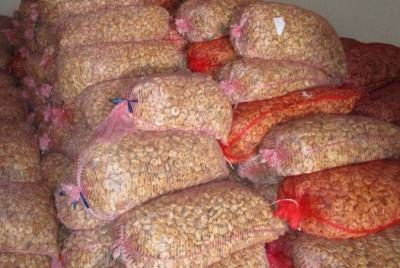 Στους 1.500 τόνους η παραγωγή σύκου στη νότια Πελοπόννησο