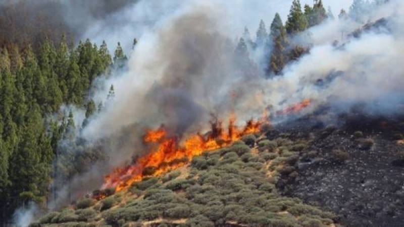 Το ΣΟΠΠ Μεσσηνίας δείχνει γιατί κάηκε η Πεντέλη