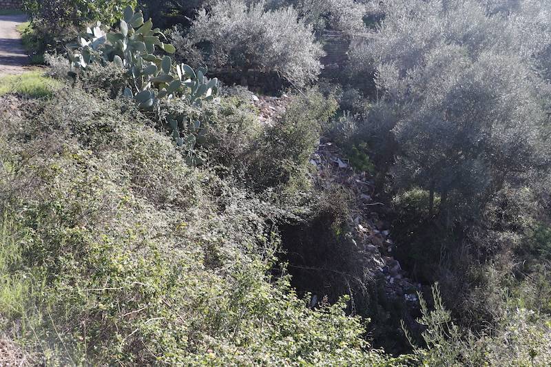 Μπάζα σε ρέμα στη Μικρή Μαντίνεια
