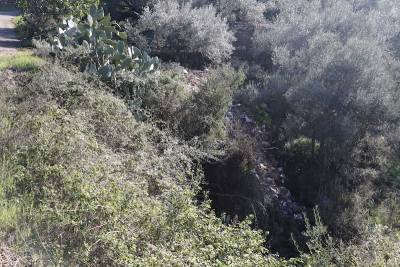 Μπάζα σε ρέμα στη Μικρή Μαντίνεια
