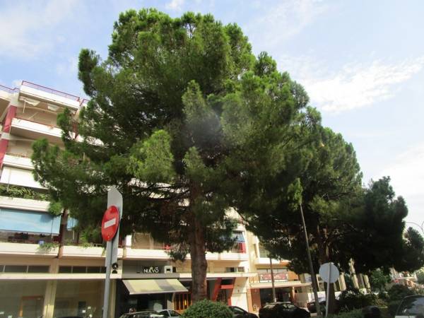 Χρειάζονται κλάδεμα