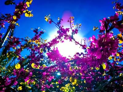 Καιρός: Νέα άνοδος της θερμοκρασίας και αφρικανική σκόνη σήμερα (Βίντεο)