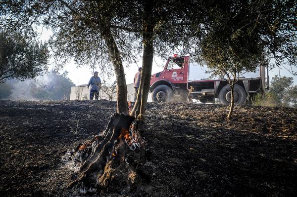 Να γίνεται ορθή διαχείριση του ανθρώπινου δυναμικού, ζητούν οι πυροσβέστες της Μεσσηνίας